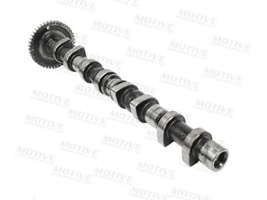 Motive Nokkenas T4406