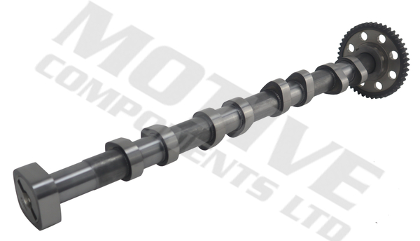 Motive Nokkenas T4436
