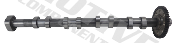 Motive Nokkenas T4436