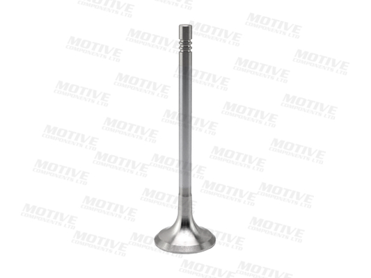 Motive Uitlaatklep EV10001