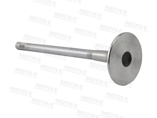 Motive Uitlaatklep EV10001