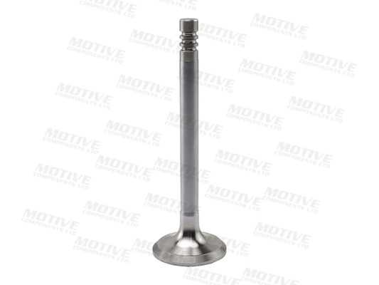 Motive Uitlaatklep EV2759