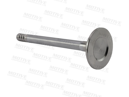 Motive Uitlaatklep EV2759