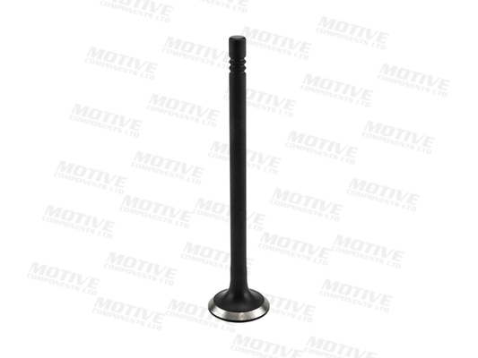 Motive Uitlaatklep EV6571