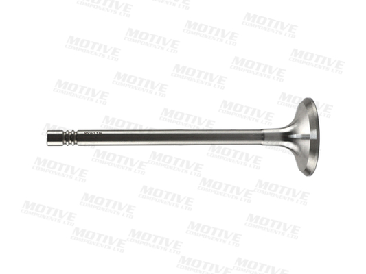 Motive Uitlaatklep EV6719