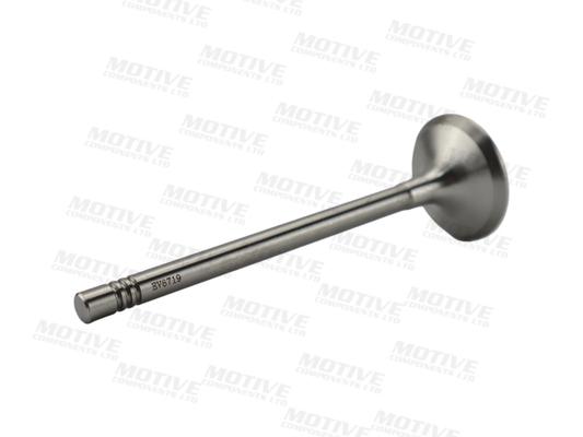 Motive Uitlaatklep EV6719