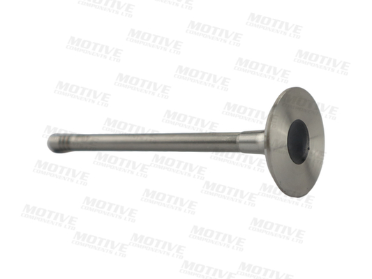 Motive Uitlaatklep EV6719