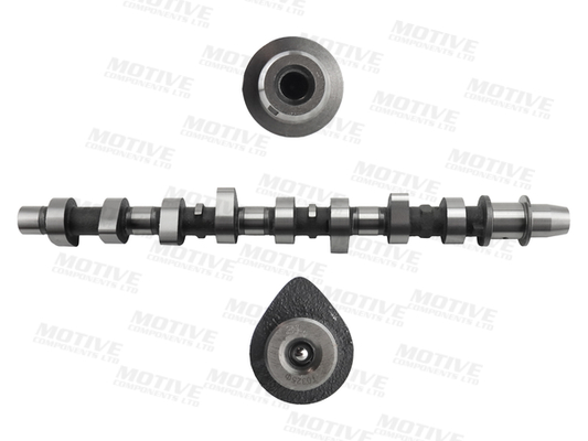 Motive Nokkenas T2212