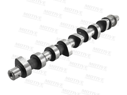 Motive Nokkenas T2212