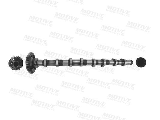 Motive Nokkenas T4341