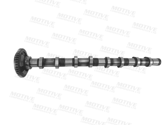 Motive Nokkenas T4341