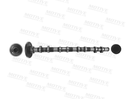 Motive Nokkenas T4342