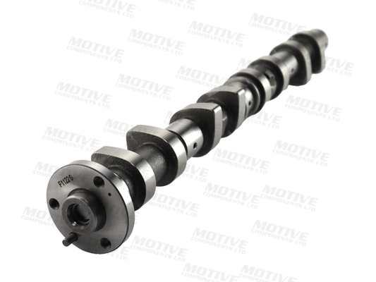 Motive Nokkenas T4405