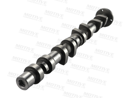 Motive Nokkenas T4405