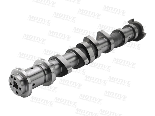 Motive Nokkenas T4531