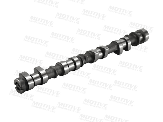 Motive Nokkenas T4538