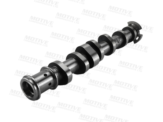 Motive Nokkenas T4544