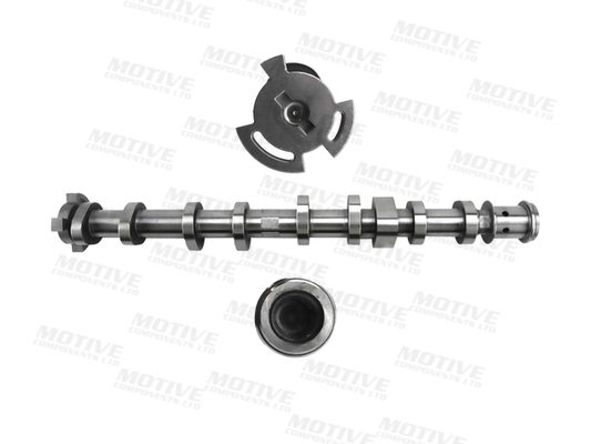 Nokkenas Motive T4546