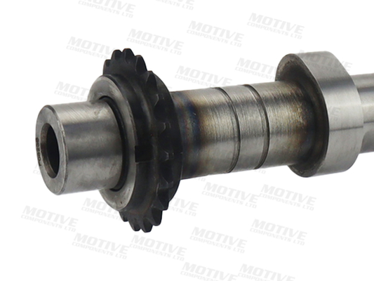 Motive Nokkenas T6552