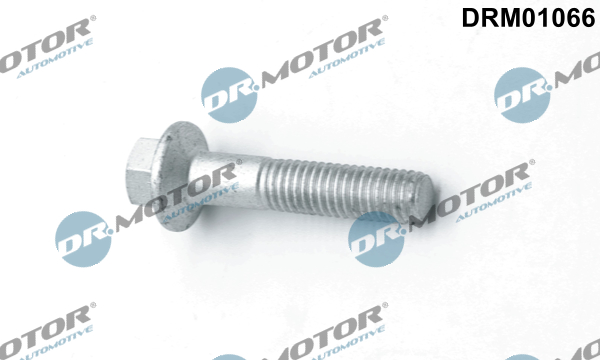 Schroef Dr.Motor Automotive DRM01066