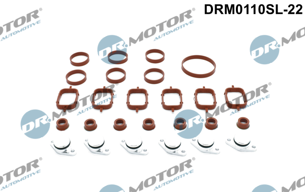 Inlaatspruitstuk module Dr.Motor Automotive DRM0110SL-22