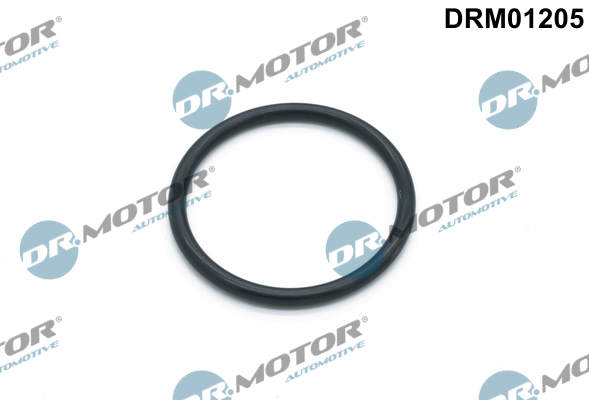 Waterpomppakking Dr.Motor Automotive DRM01205