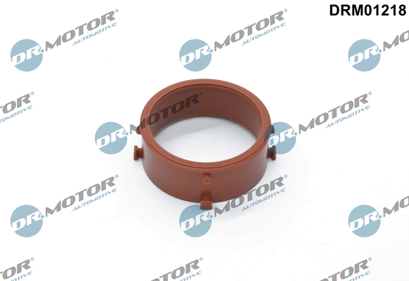 Laadlucht-/turboslang Dr.Motor Automotive DRM01218