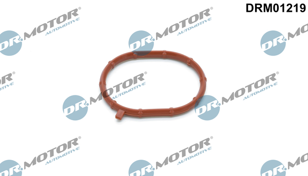 Turbolader pakking Dr.Motor Automotive DRM01219