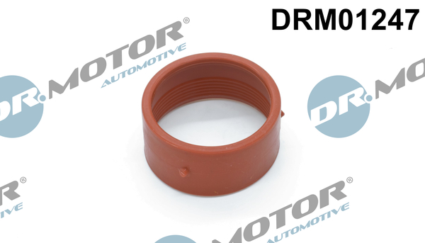 Laadlucht-/turboslang Dr.Motor Automotive DRM01247