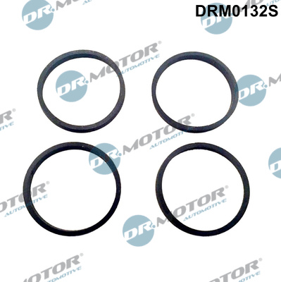 Inlaatspruitstukpakking Dr.Motor Automotive DRM0132S