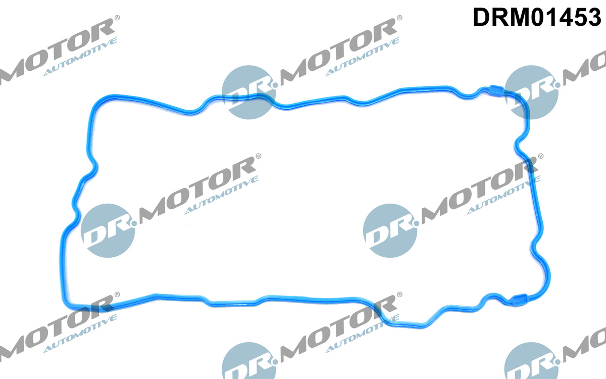 Carter pakking Dr.Motor Automotive DRM01453