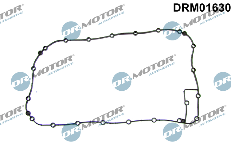 Carter pakking Dr.Motor Automotive DRM01630