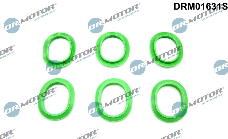 Inlaatspruitstukpakking Dr.Motor Automotive DRM01631S