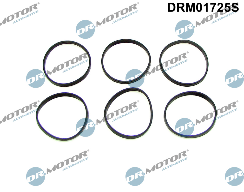 Inlaatspruitstukpakking Dr.Motor Automotive DRM01725S