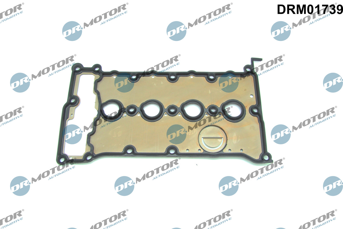 Kleppendekselpakking Dr.Motor Automotive DRM01739