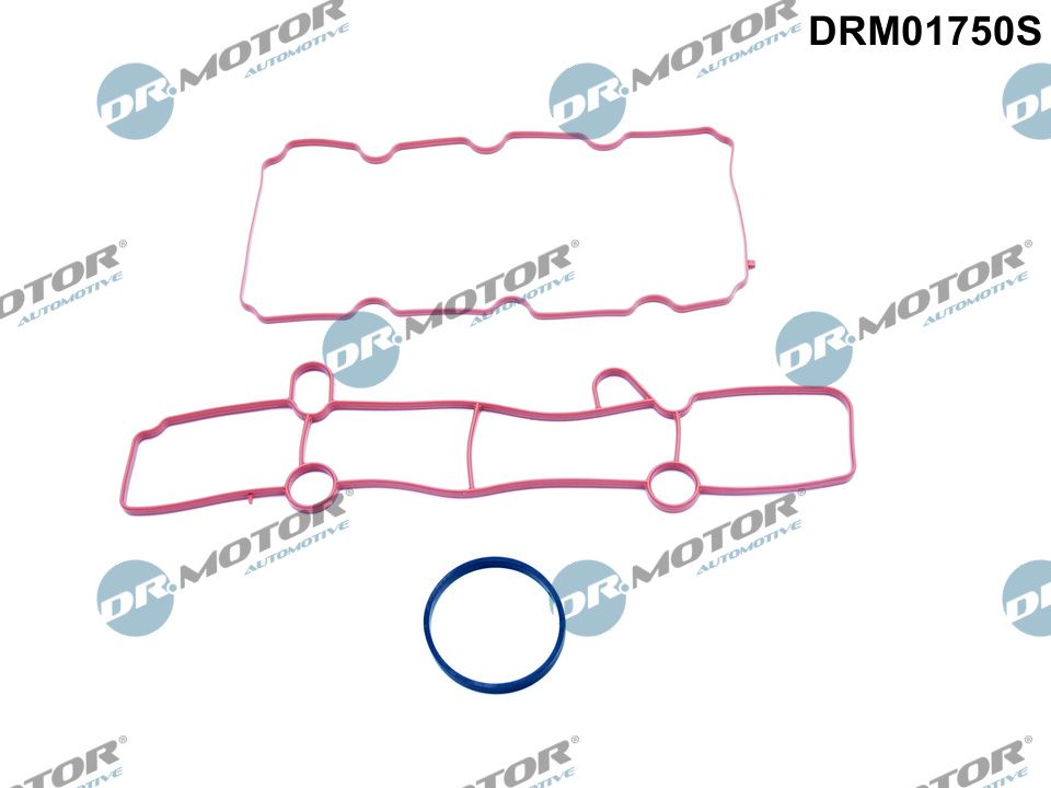 Inlaatspruitstukpakking Dr.Motor Automotive DRM01750S