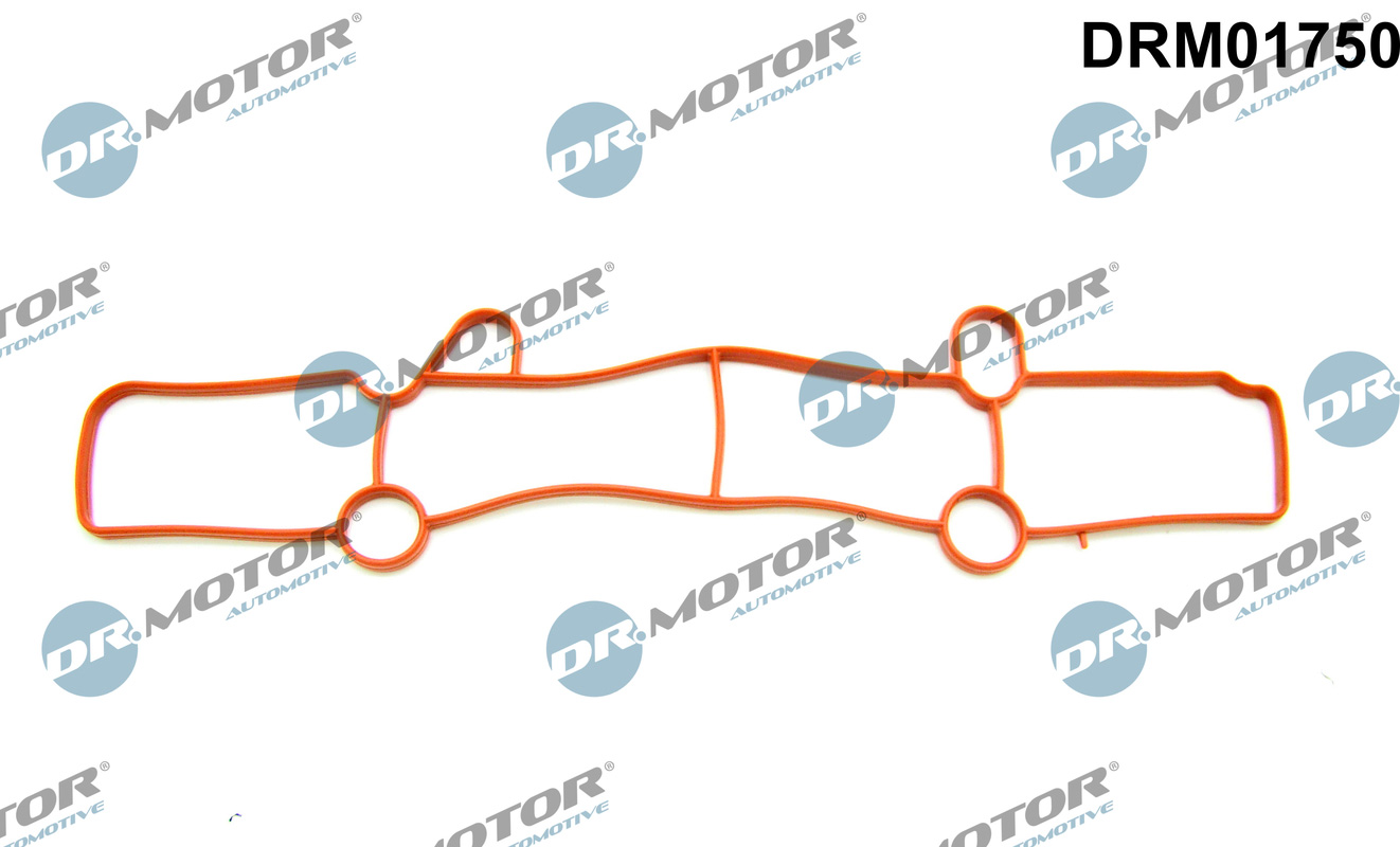 Inlaatspruitstukpakking Dr.Motor Automotive DRM01750