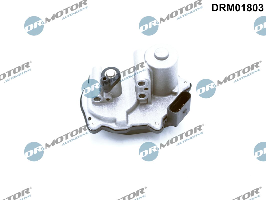 Afstelelement - drallklep (zuigleiding) Dr.Motor Automotive DRM01803