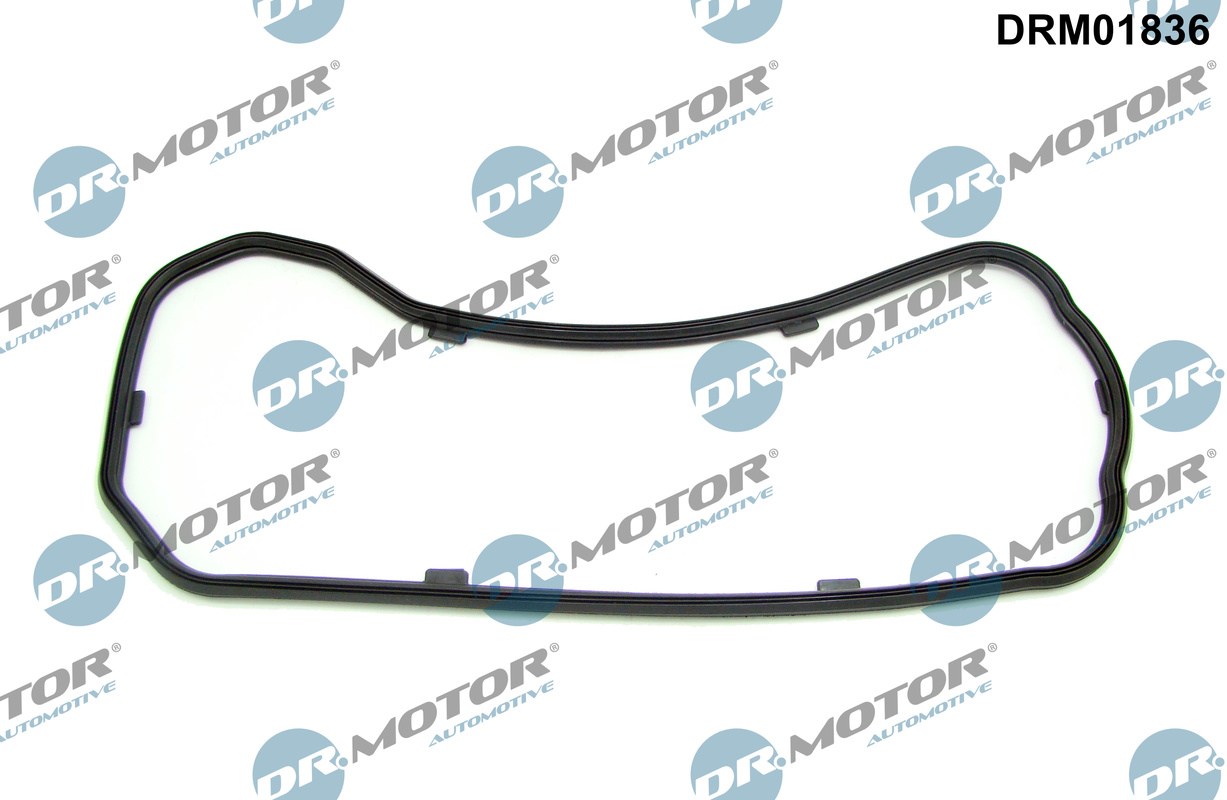 Carter pakking Dr.Motor Automotive DRM01836