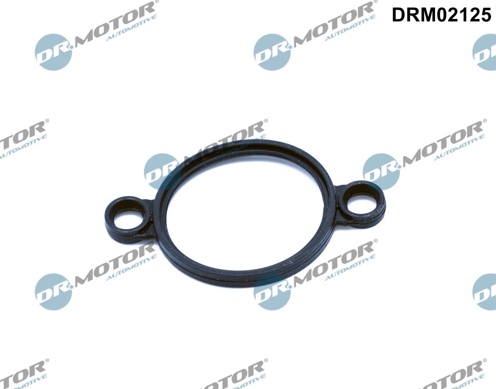 Afdichting excentrische as sensor (nokkenas) Dr.Motor Automotive DRM02125