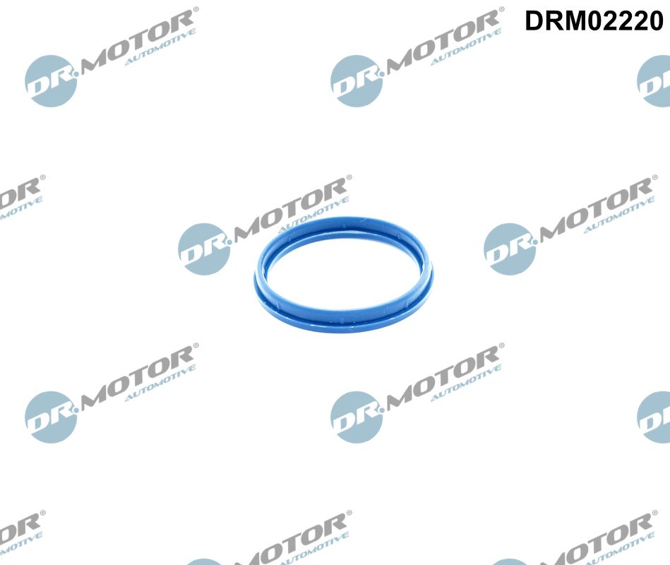 Inlaatspruitstukpakking Dr.Motor Automotive DRM02220