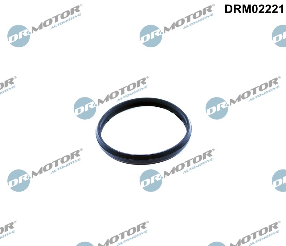 Kettingspanner pakking Dr.Motor Automotive DRM02221