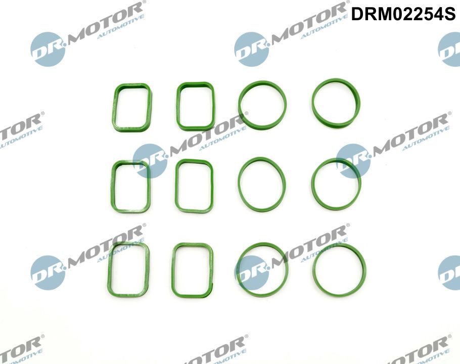 Inlaatspruitstukpakking Dr.Motor Automotive DRM02254S