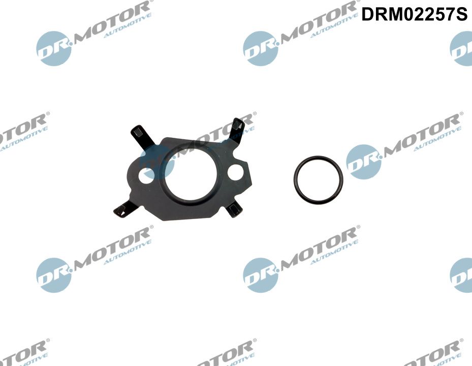 Pakkingset Dr.Motor Automotive DRM02257S