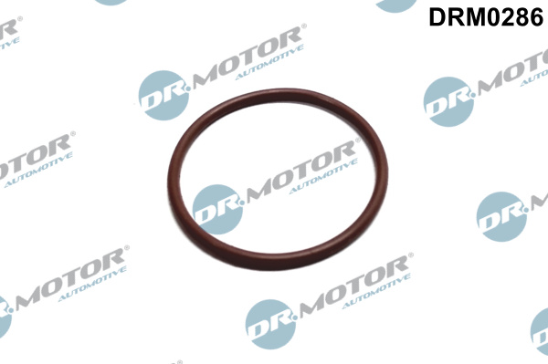 Brandstofpomp pakking Dr.Motor Automotive DRM0286