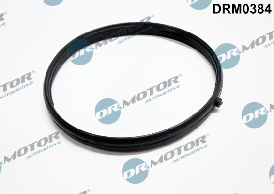 Inlaatspruitstukpakking Dr.Motor Automotive DRM0384