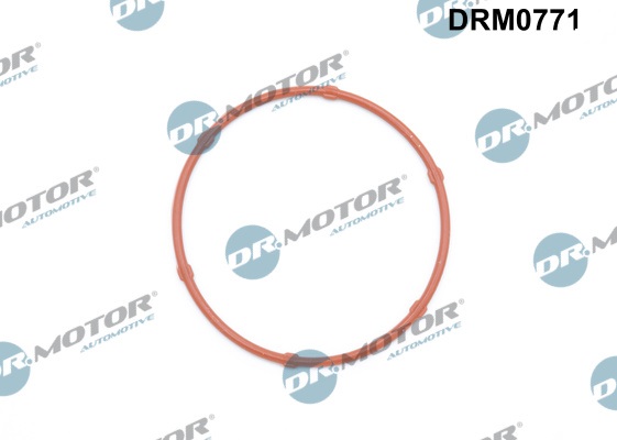 Oliepomp pakking Dr.Motor Automotive DRM0771