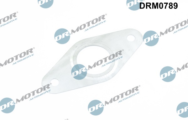 Dichtring EGR-klep leiding Dr.Motor Automotive DRM0789