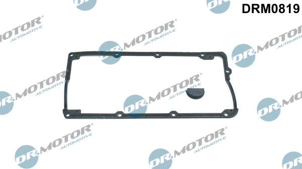 Kleppendekselpakking Dr.Motor Automotive DRM0819