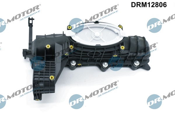 Dr.Motor Automotive Inlaatspruitstuk module DRM12806